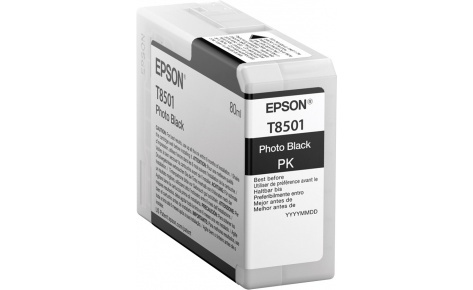 Epson C13T850100