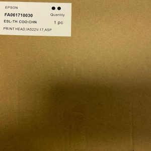 FA06151/FA06171 Печатающая головка Epson SC-S30600, S30610, S50610, S70610